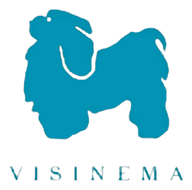 Visinema